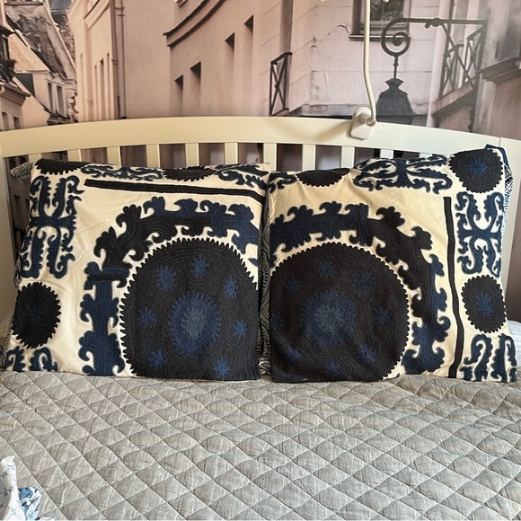 Pottery Barn Euro shams - Picture 1 of 6